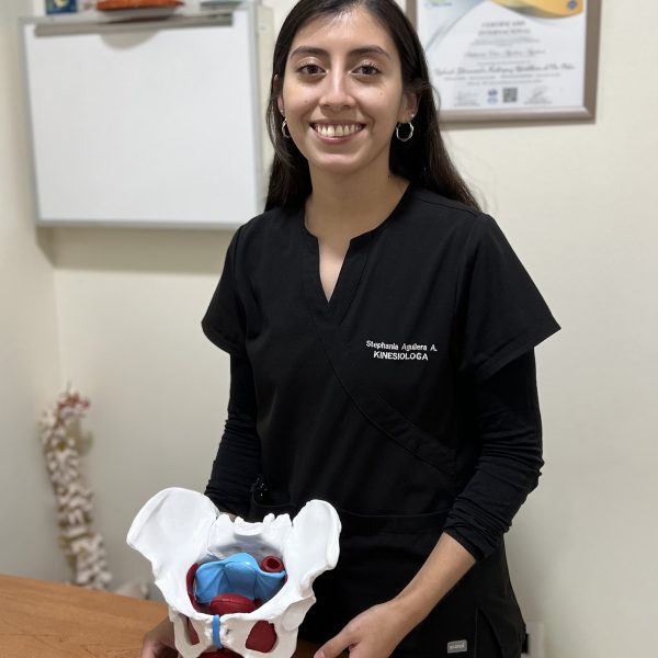 stephania-01-web stephania-01-web